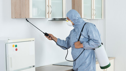 Ev İlaçlama