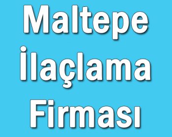Maltepe İlaçlama Firması