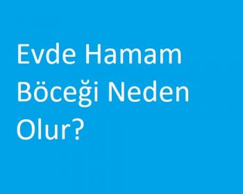 Evde Hamam Böceği Neden Olur?