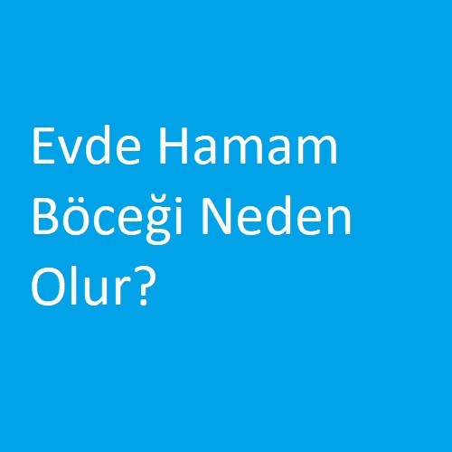 Evde Hamam Böceği Neden Olur?