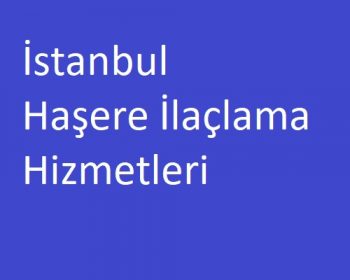 İstanbul Haşere İlaçlama Hizmetlerimiz