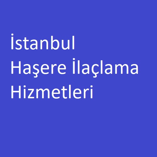 İstanbul Haşere İlaçlama Hizmetlerimiz